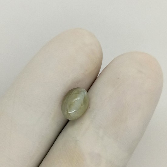 Cat's Eye (Lahsunia) 2.73 Ct Certified Cat's Eye (Lahsunia) 2.73 Ct Certified